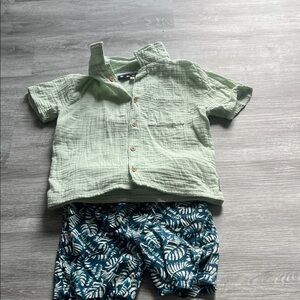 Green Button-Up Shirt and Blue Leaf Shorts Set